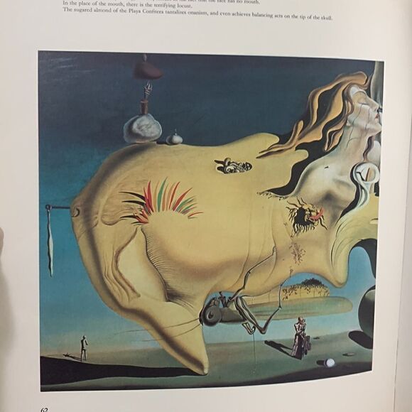 Vintage The World of Salvador Dali by Robert Descharnes 1962 ATIDE Art Book - Picture 15 of 17